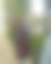 maid photo of SATHIVELU AMUTH., SA-2812-TRF-BA
