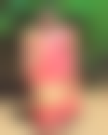 maid photo of ANBUSELVAM SURY., AS-1506-EXP-ABD