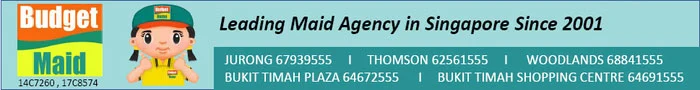 Budget maid banner